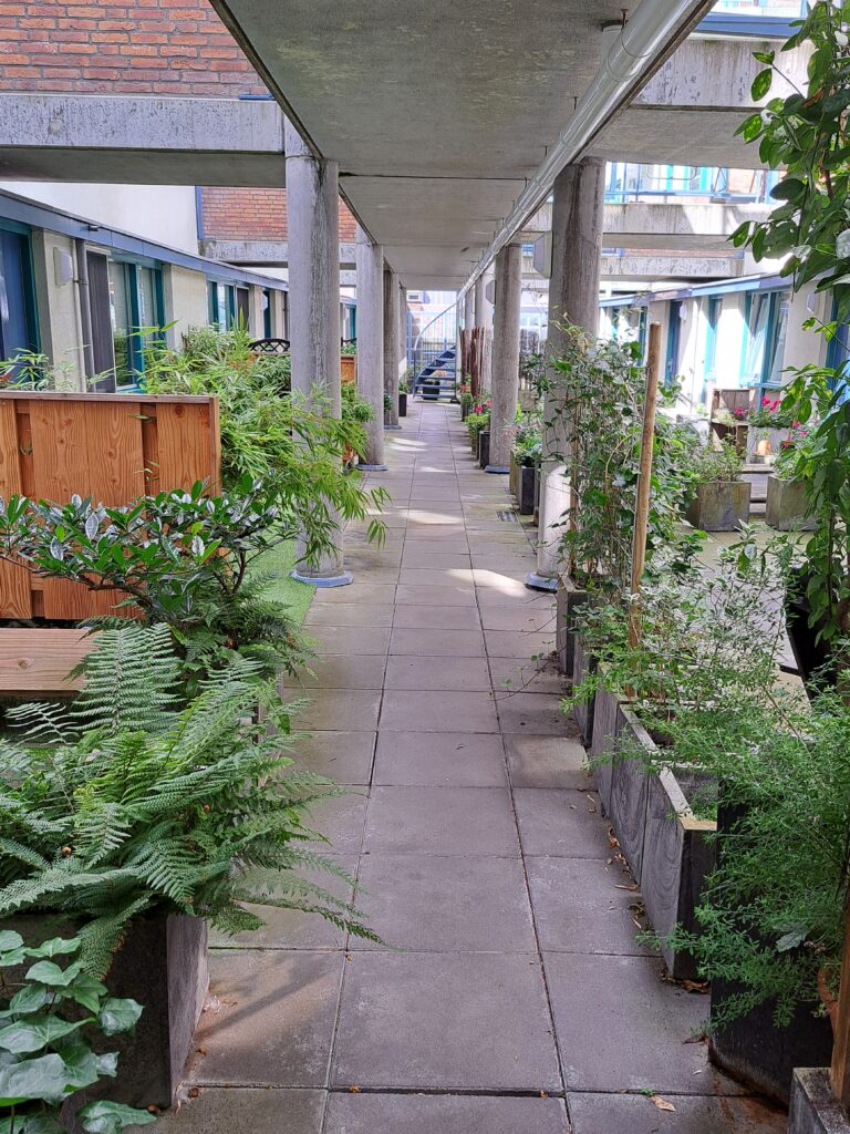 Het hofje op de eerste verdieping. Op weg naar de woning.